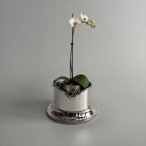 Könnte beinhalten: Ein silberner Pflanztopf mit dekorativem, perlenbesetztem Sockel und einem Traubenmuster. Er enthält eine Orchidee mit weißen und rosa Blüten und grünen Blättern. Die Pflanze ist mittig im Bild platziert.