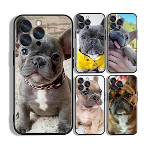 Op de afbeelding: Een verzameling telefoonhoesjes met afbeeldingen van Franse Bulldogs. De hoesjes tonen verschillende poses en kleuren van de honden, waaronder een grijze pup met een luipaardprint halsband en een hond in een gele jas.