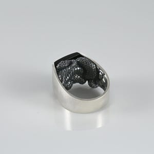 May include: A silver ring featuring a detailed, dark-toned sculptural snake motif coiled on the top surface. The band has a smooth, polished finish, while the snake design displays intricate, textured scales and a deep, oxidized metallic appearance.