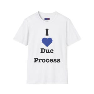 Due Process Protest Unisex T-Shirt, Immigration Rights Shirt, Civil Liberties Tee, Political Activist Top