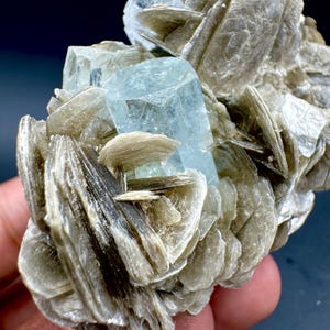 Może przedstawiać: Zbliżenie okazu mineralnego z formacją kryształów akwamarynu w kolorze jasnoniebieskim. Akwamaryn otoczony jest skupiskiem beżowych, warstwowych kryształów miki. Tło jest ciemnoniebieskie.