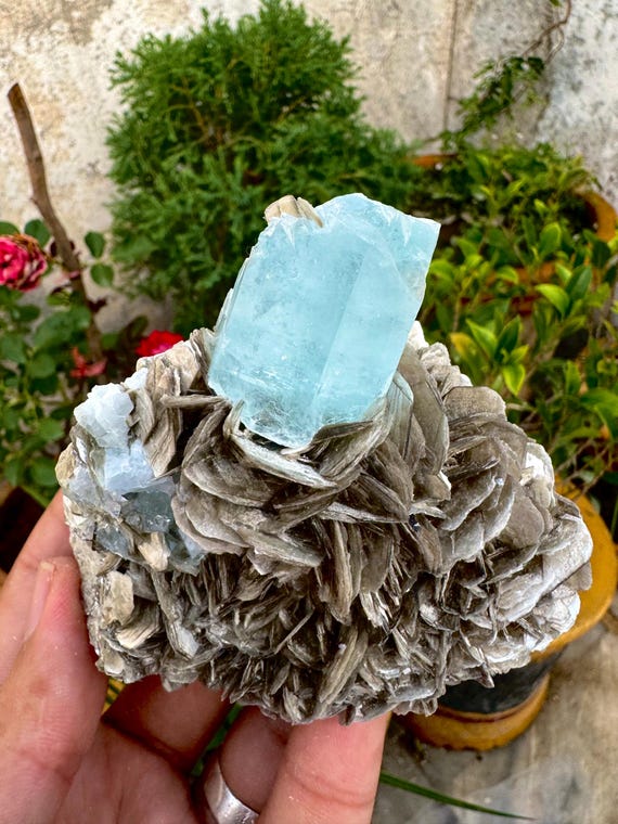 天然アクアマリン結晶と白雲母の複合標本 1895カラット @ 鉱物標本