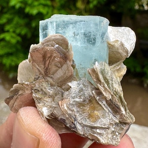 May include: A pale blue aquamarine crystal with a rectangular form, set in a matrix of brown and tan mica. The crystal is held in a hand, with a blurred green background.