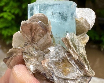 Aquamarine Crystal With Muscovite Combine Specimen 185 Carats @Mineral Specimens
