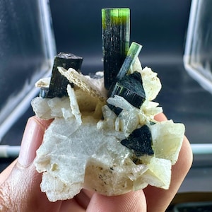 May include: A cluster of tourmaline crystals, displaying a striking contrast of green and black hues. The crystals are set against a backdrop of white and beige minerals. The image highlights the natural beauty and intricate formations of these mineral specimens.