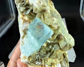 Natural Aquamarine Crystal With Muscovite Specimen 3070 CT @ Mineral Specimens