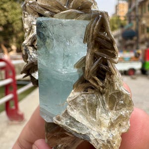 630 Carats Natural Aquamarine Crystal With Muscovite Combine Specimen @ Mineral Specimens image 4