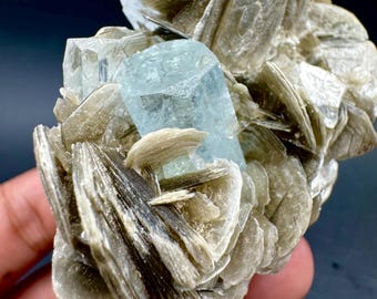 Natuurlijk aquamarijnkristal met muscoviet, gecombineerd exemplaar van 1025 karaat @ Mineral Specimens