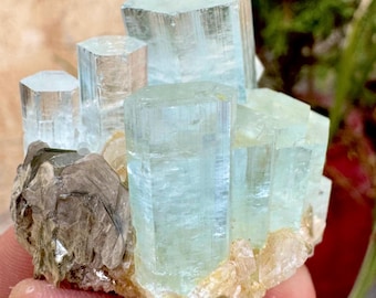 Stunning Aquamarine Crystal Cluster with Muscovite  Combine Specimen 170 Carats @Mineral Specimens