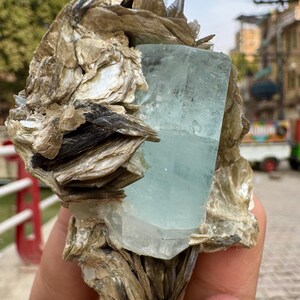 630 Carats Natural Aquamarine Crystal With Muscovite Combine Specimen @ Mineral Specimens image 3