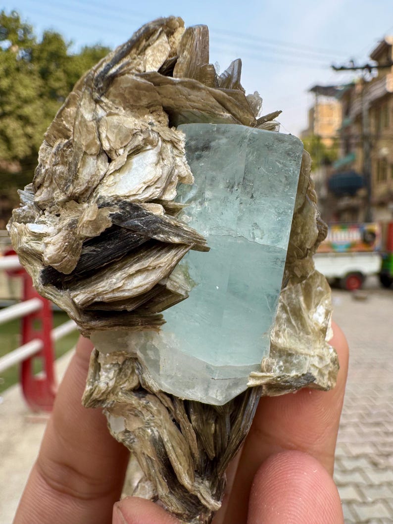 630 Carats Natural Aquamarine Crystal With Muscovite Combine Specimen @ Mineral Specimens image 3