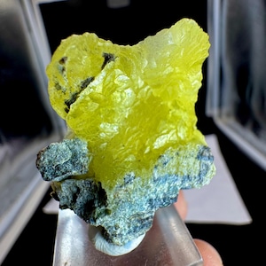 Puede incluir: Un espécimen mineral en bruto que presenta una formación de cristales de azufre de color amarillo vibrante y translúcido unida a una base de matriz gris oscura y texturizada. La estructura cristalina muestra una superficie irregular.