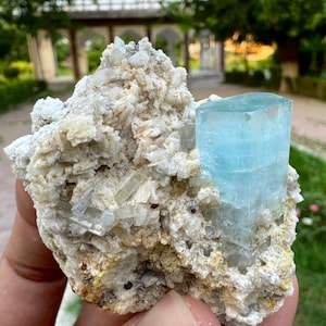 May include: A raw mineral specimen featuring a large, translucent, light blue hexagonal crystal attached to a cluster of white, jagged, crystalline rock matrix. The primary crystal displays a smooth, glassy surface and a distinct geometric shape.