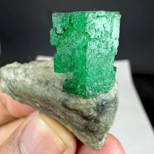 以下が含まれることがあります： 鮮やかな緑色の原石エメラルドの結晶標本で、独特の六角柱状の構造を持ち、粗いライトグレーの斑点のある母岩のベースにしっかりと埋め込まれており、自然な結晶の質感と半透明の縁を見せています。