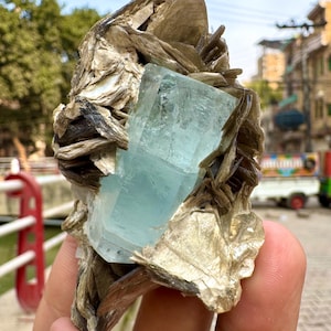 630 Carats Natural Aquamarine Crystal With Muscovite Combine Specimen @ Mineral Specimens image 1