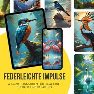 Coaching cards, picture cards, PDF, tools for coaching, therapy, counseling, self-reflection, “feather-light impulses”, affirmation, association
