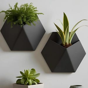 Puede incluir: Dos jardineras de pared geométricas negras, cada una con una planta diferente. Una contiene un helecho, la otra una sansevieria. Las jardineras hexagonales están montadas en una pared blanca, ideales para la decoración del hogar moderna.