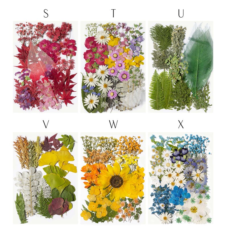May include: A collection of pressed flowers and foliage arranged in rectangular shapes. The arrangements include a variety of colors, such as red, yellow, white, blue, and green. The image is divided into six sections, each showcasing a unique floral composition.