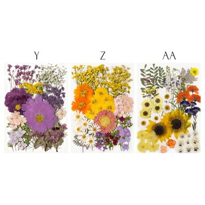 May include: Three arrangements of dried flowers, each on a white background. The arrangements include a variety of colors, such as purple, yellow, orange, and white. The arrangements are labeled with the letters Y, Z, and AA.