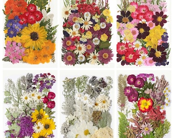 A Pack of 50-110 pcs Pressed Flowers, Mini Dried Pressed Flowers and Leaves for Resin, Wedding Card Making, Frame Decoration, Nail Art