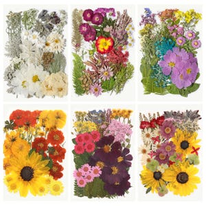 May include: Six rectangular arrangements of dried flowers in various colors. The arrangements include sunflowers, daisies, and other flowers in shades of yellow, orange, red, purple, pink, and white, with green foliage.