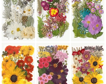 A Pack of 50-110 pcs Pressed Flowers, Mini Dried Pressed Flowers and Leaves for Resin, Wedding Card Making, Frame Decoration, Nail Art