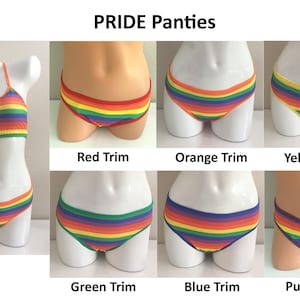 LeoLines, LLC ™ Lycra Fabric Rainbow (half-inch Stripes) Underwear Made for LGBTQ+ - Panty or Bra Sold Separately - Choose Trim Color
