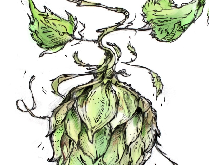 BEER HOP Illustration Gift for Him Illustrated Watercolor Print Beer