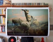 Antelopes Print 30x40