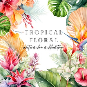 Clipart di fiori tropicali, ibisco acquerello, clipart di acquerello floreale per inviti, clipart predefinite per cancelleria, composizioni floreali