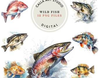 Watercolor Wild Fish Clipart Bundle Fathers Day Gift Fishing Clipart Fish PNG Salmon Fish Trout PNG Nature Watercolor Commercial Use