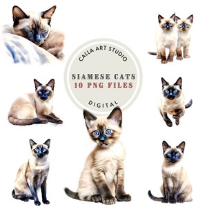 Siamese Cats Clipart Bundle, Kitten Clipart, Cat  Watercolor Portrait, Cat Png,  Gift for Cat Mama, Cat Lovers Gift, Commercial Use
