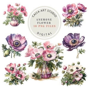 Akwarela Anemone Clipart Bundle Kwiat Clipart Ślubny Clipart Fioletowy Kwiat Botaniczny Wydruk Anemone Png Scrapbooking Cardmaking Pobieranie