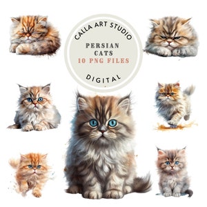 Cat Clipart PNG Bundle Kitten Clipart Bundle Watercolor Cat Png Cat Clipart Cute Cat Png Cat Art Print Persian Cat Commercial Use Clipart