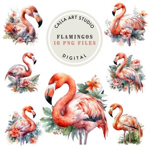 Flamant rose Clipart oiseaux tropicaux Clipart flamant rose Png aquarelle été Clipart tropical Clipart Bundle Scrapbooking usage Commercial