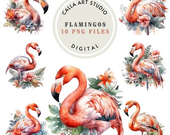 Flamant rose Clipart oiseaux tropicaux Clipart flamant rose Png aquarelle été Clipart tropical Clipart Bundle Scrapbooking usage Commercial
