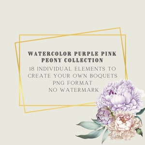 Watercolor Peony Clipart Flower Png Bundle Pink Boho Flowers Digital Download Boho Bouquet Floral Elements Clipart Cardmaking Kit image 3
