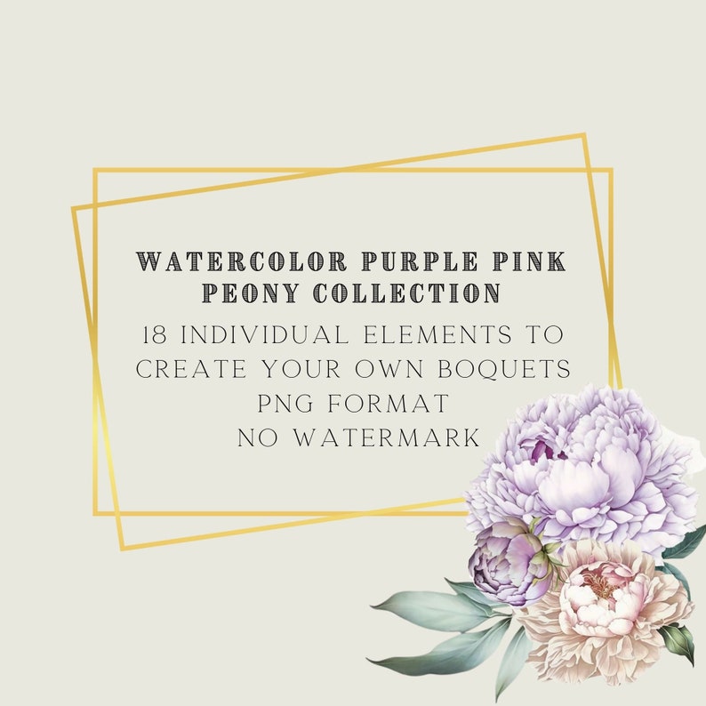 Watercolor Peony Clipart Flower Png Bundle Pink Boho Flowers Digital Download Boho Bouquet Floral Elements Clipart Cardmaking Kit image 3