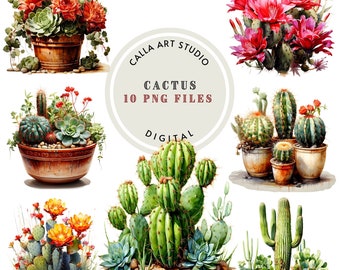 Watercolor Cactus Clipart, Desert CactusPNG, Botanical Plant Clip Art For Crafts and Scrapbooking, Plants Illustration, Commercial Use