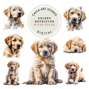 Golden Retriever Clipart Bundle Dog PNG Puppy Digital Portrait Download Golden Retriever Wall Art Puppy Images Commercial Use Included