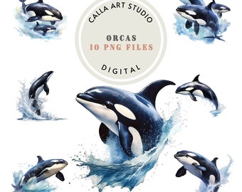 Orca Whales Watercolor Clipart Bundle Birthday Clipart Ocean Creatures Water PNG for Scrapbooking Digital Download for Commercial Use