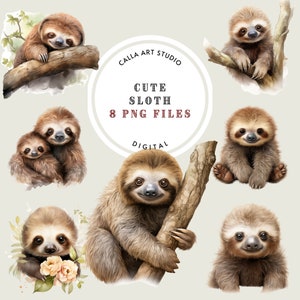 Watercolor Sloth Clipart Bundle, Cute Sloth PNG, Exotic Animal Image, Digital Craft, Junk Jornal,Scrapbooking, Watercolor PNG, Nursery Decor