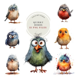 Skurrile Vogel Aquarell Clipart, lustige Vogel Illustrationen, Kartenherstellung, Junk Journal, digitaler Download, süßes Vögelchen PNG, kommerzielle Nutzung Bild