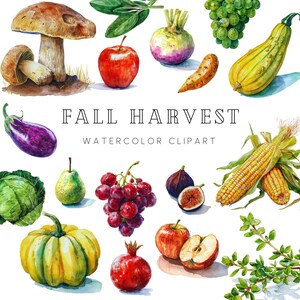Watercolor Fall Harvest Clipart Bundle, Autumn Clipart, Watercolor Fall, Cottagecore Clipart, Fall Harvest Clipart, Vegetables PNG, Food PNG