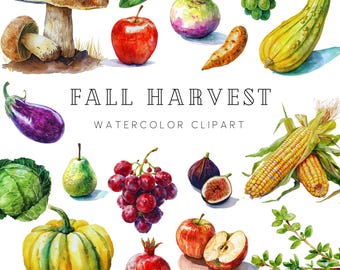May include: Watercolor clipart featuring a variety of fall harvest vegetables and fruits, including a red apple, a yellow squash, a purple eggplant, a green pear, a red pomegranate, a bunch of red grapes, a yellow and green corn cob, a green cabbage, a yellow turnip, a brown mushroom, a green fig, and a red apple cut in half.