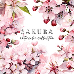 Imágenes de flores de cerezo en acuarela, imágenes de flores de cerezo, imágenes de Sakura para invitaciones y manualidades, imágenes de primavera, imágenes de flores rosas.