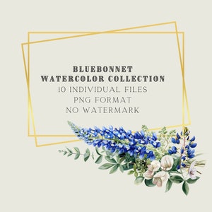 Watercolor Bluebonnet Clipart, Floral Clipart, Bridal Decor, Summer Clipart, Wedding Clipart, Floral Borders, Blue Flowers, Premade Clipart image 3
