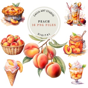 Bundle de cliparts pêche aquarelle pour cartes recettes décoration de chambre d'enfant Scrapbooking numérique Clipart nourriture graphiques bonbons PNG anniversaire Dessert Art