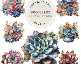 Succulent Cactus Png Clipart Succulent Clipart Watercolor Botanical Clipart Png For Sublimation Plants Illustration Wedding Floral Image