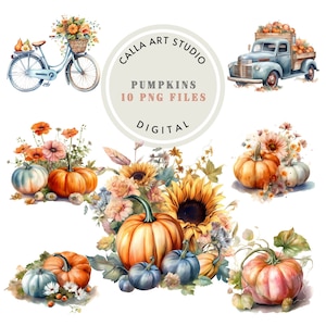Pumpkin Clipart Bundle Autumn Floral Clipart Watercolor Botanical Png For Sublimation Cardmaking Printables Orange Pumpkins Commercial Use